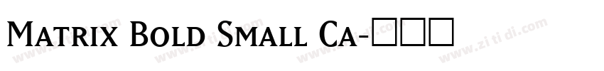 Matrix Bold Small Ca字体转换